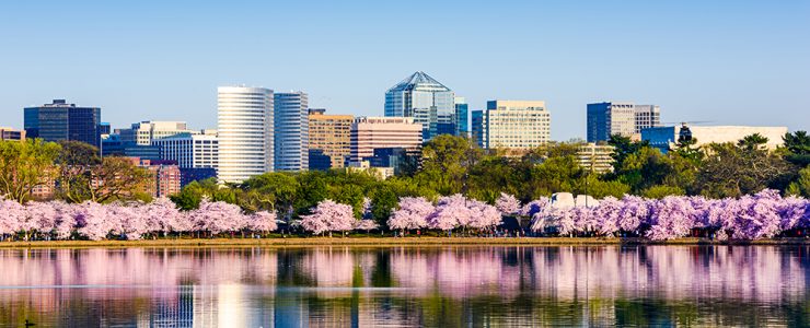 Green Cleaning in DC